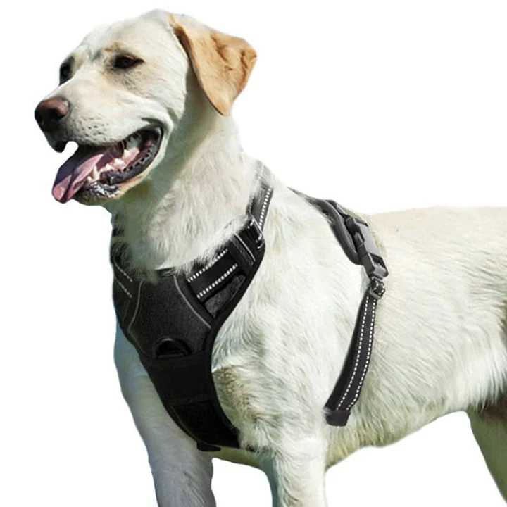 No-Pull Padded Dog Harness from $11