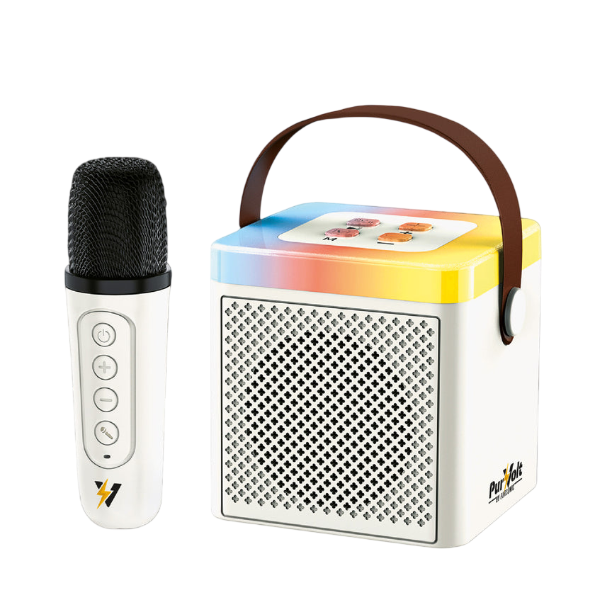 Portable Karaoke Set $23