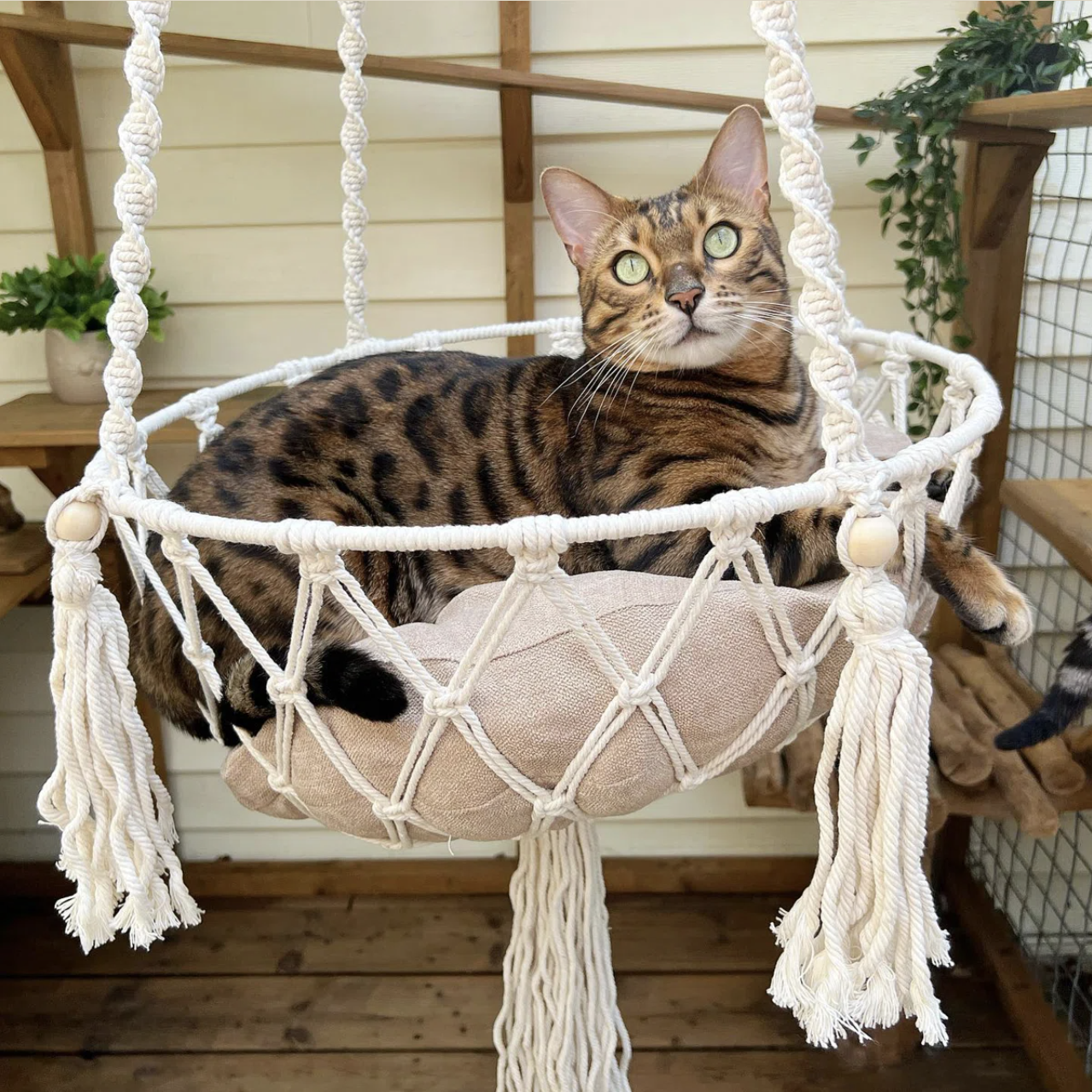 Bohemian Style Cat Hammock $37
